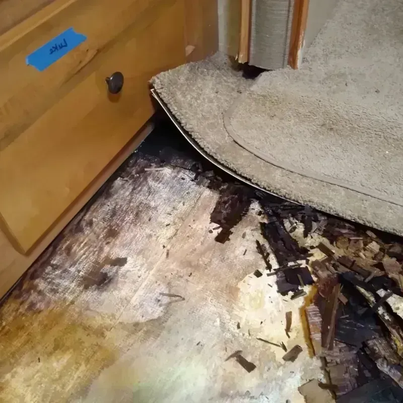 Wood Floor Water Damage in Stark County, ND